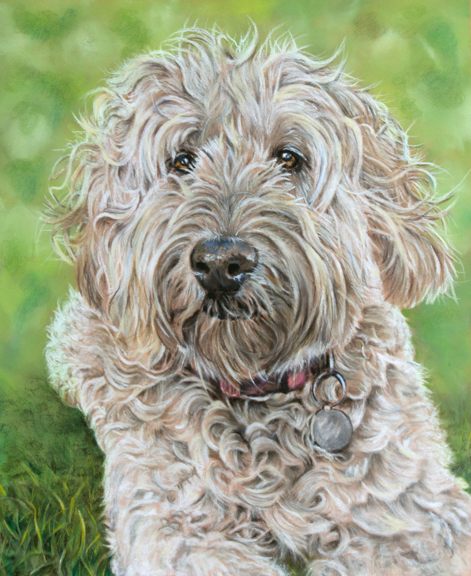 pastel pencil portrait of Golden Doodle